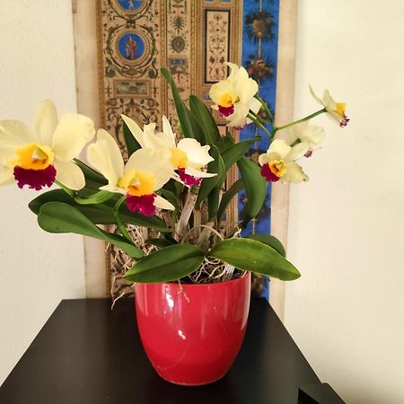 Piadena La Casa Nel Borgo B&B 외부 사진