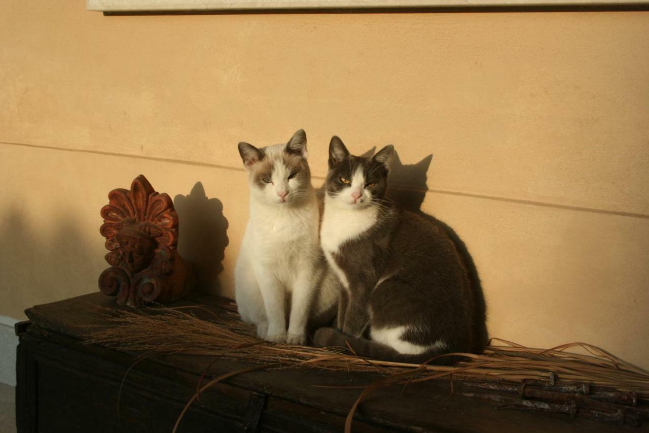 Piadena La Casa Nel Borgo B&B 외부 사진